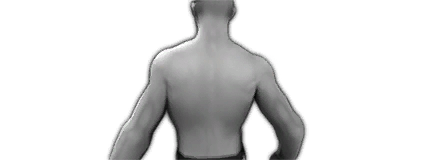 icon_small_Item_Cyberware_Bioware_Legs