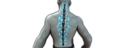 icon_small_Item_Cyberware_Wired_Reflexes_1_Alpha